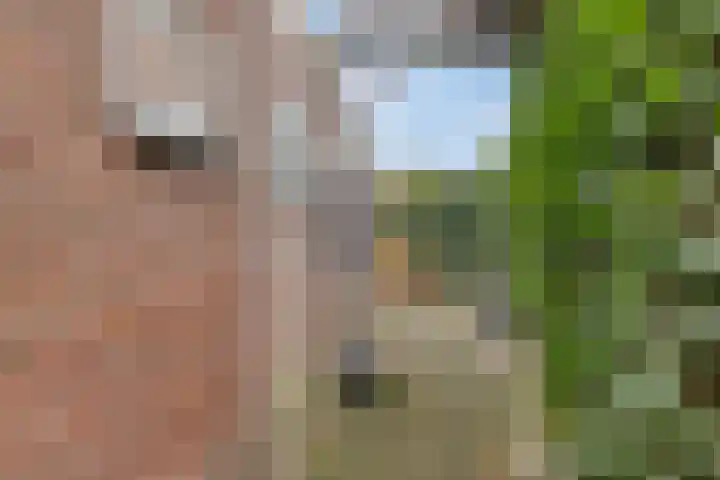 Olmenstraat 33 Tilburg thumbnail 33