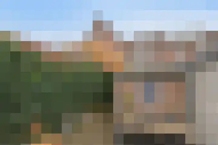 Olmenstraat 33 Tilburg thumbnail 36