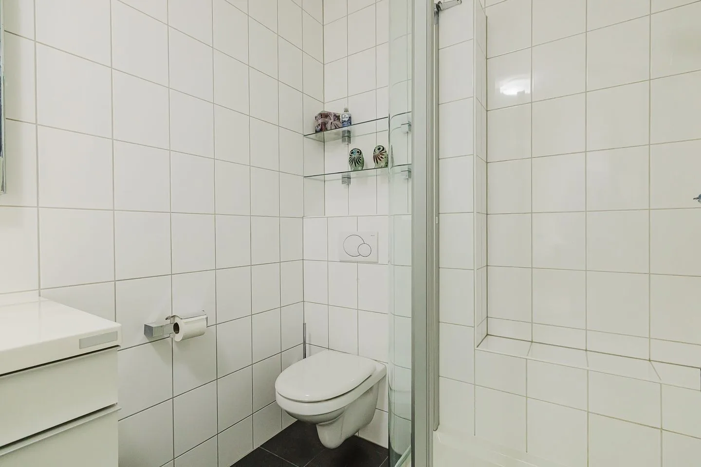 Olmenstraat 35 Halsteren thumbnail 34