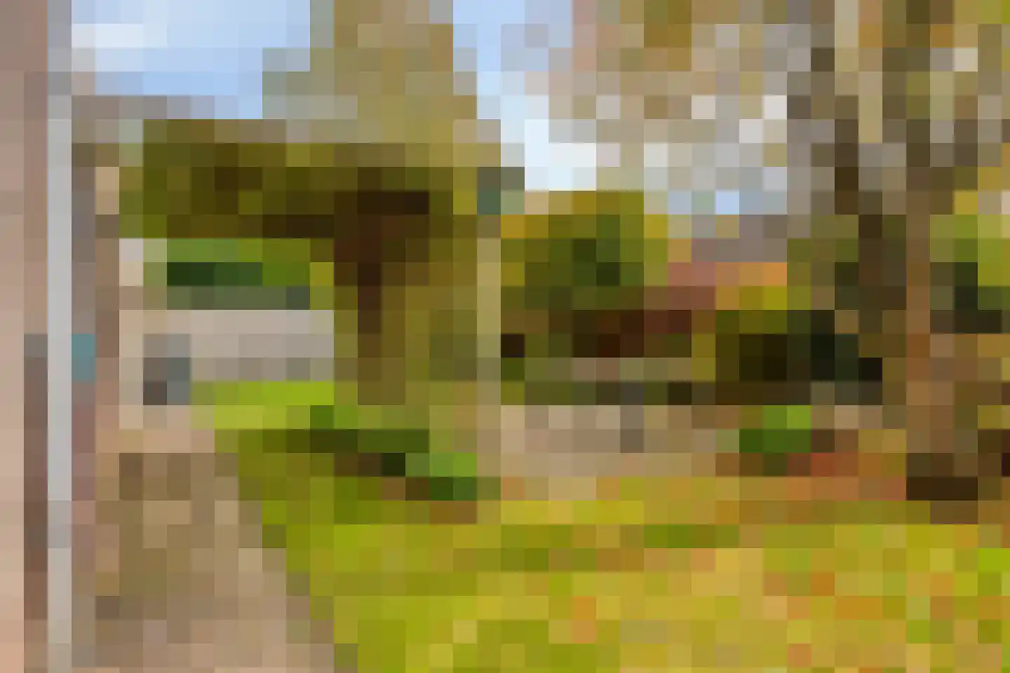Olmenstraat 36 a Vogelwaarde thumbnail 4