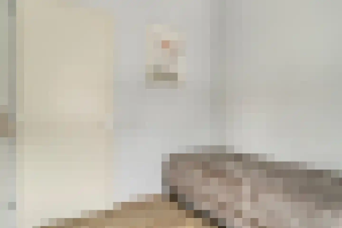 Olmenstraat 5 Halsteren thumbnail 22