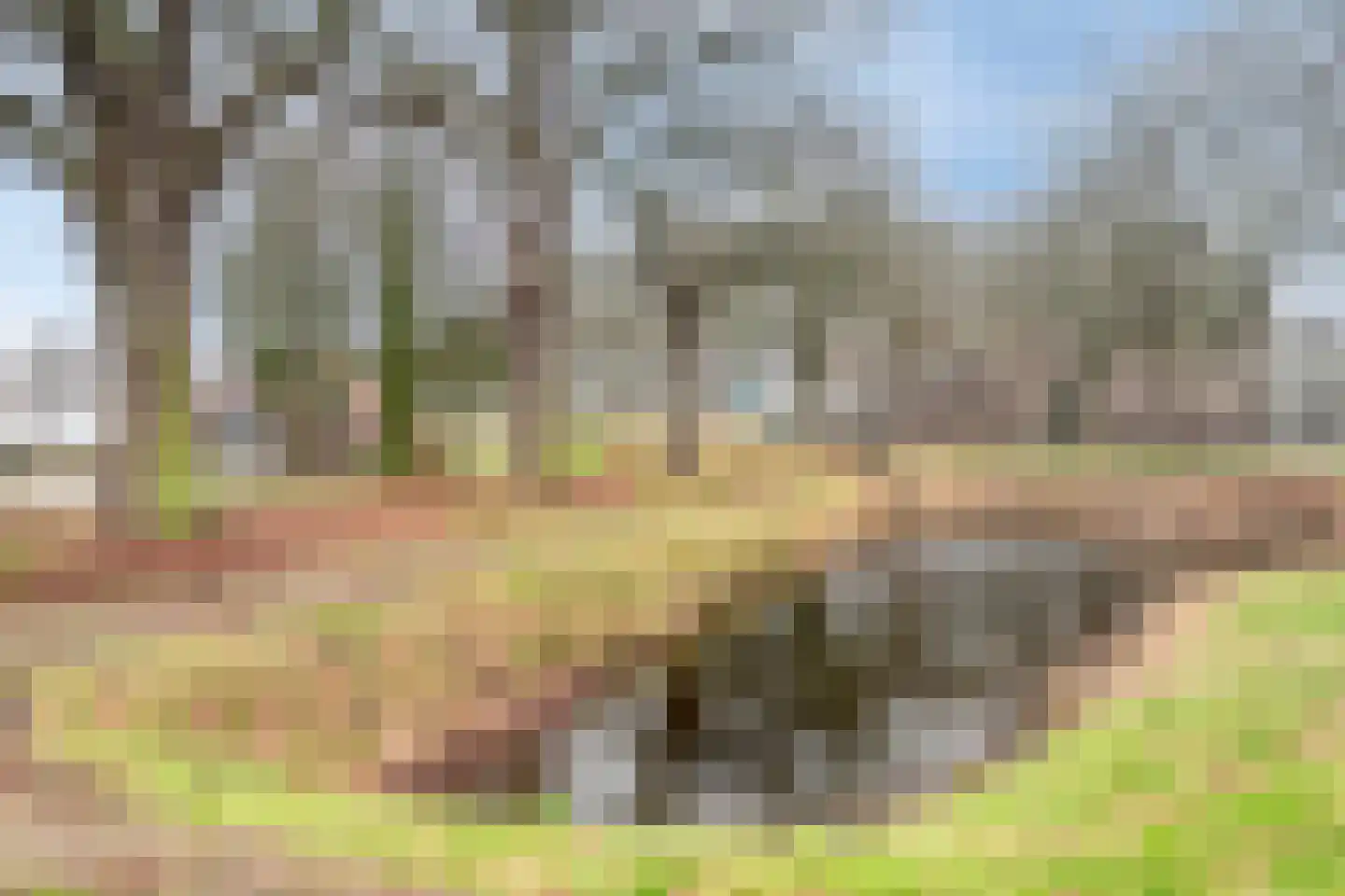 Olmenstraat 5 Halsteren thumbnail 31