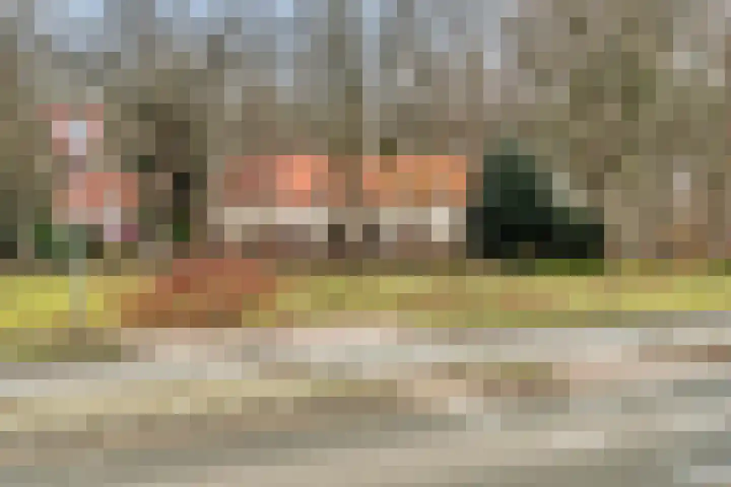 Olmenstraat 5 Halsteren thumbnail 34