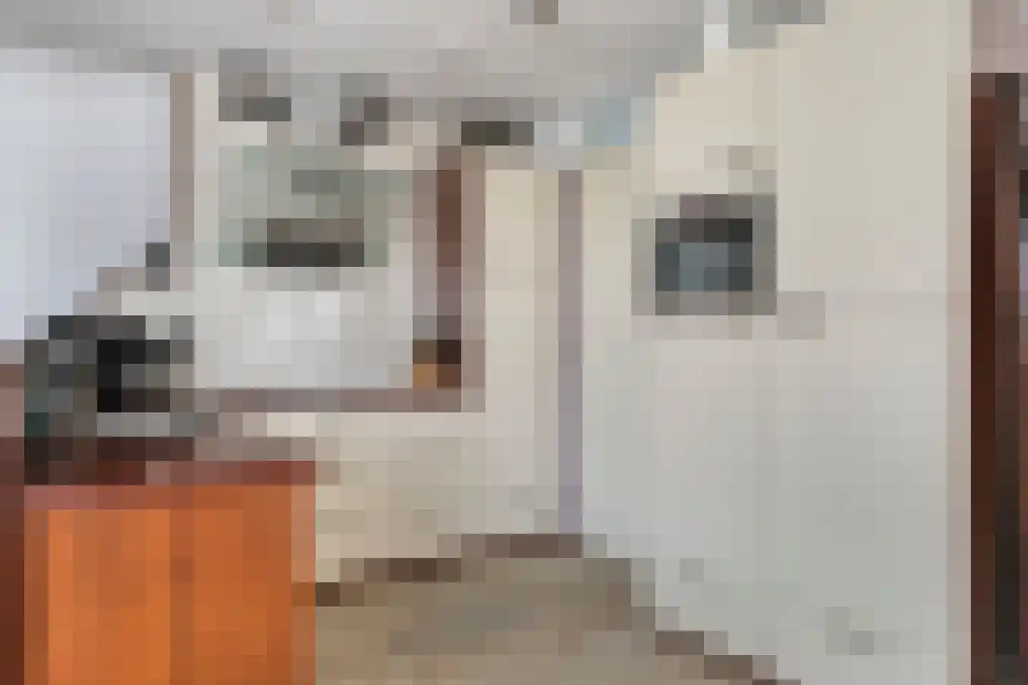 Olmenstraat 5 Halsteren thumbnail 7