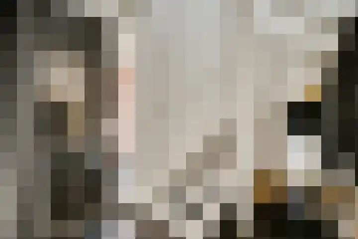 Olmenstraat 5 Hunsel thumbnail 13