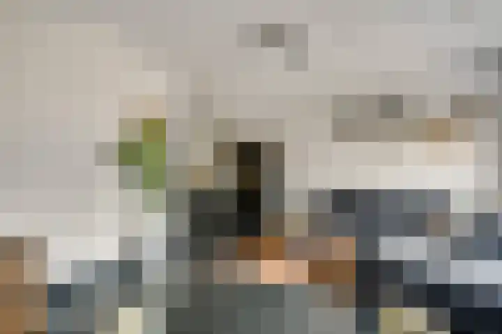 Olmenstraat 5 Hunsel thumbnail 18