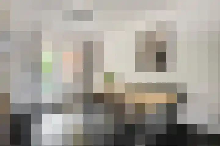 Olmenstraat 5 Hunsel thumbnail 19