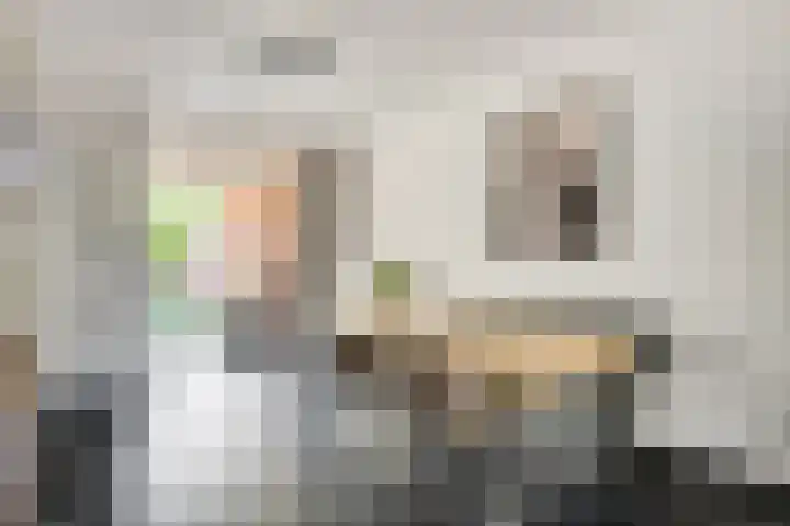 Olmenstraat 5 Hunsel thumbnail 20