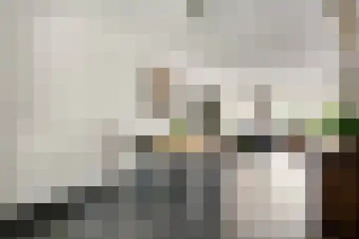 Olmenstraat 5 Hunsel thumbnail 21