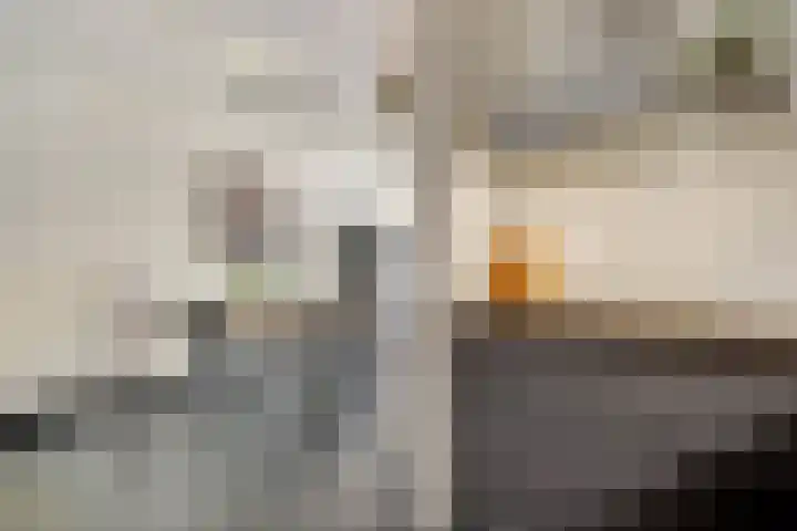 Olmenstraat 5 Hunsel thumbnail 24