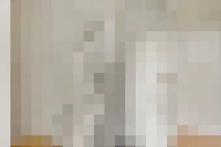 Olmenstraat 5 Hunsel thumbnail 35