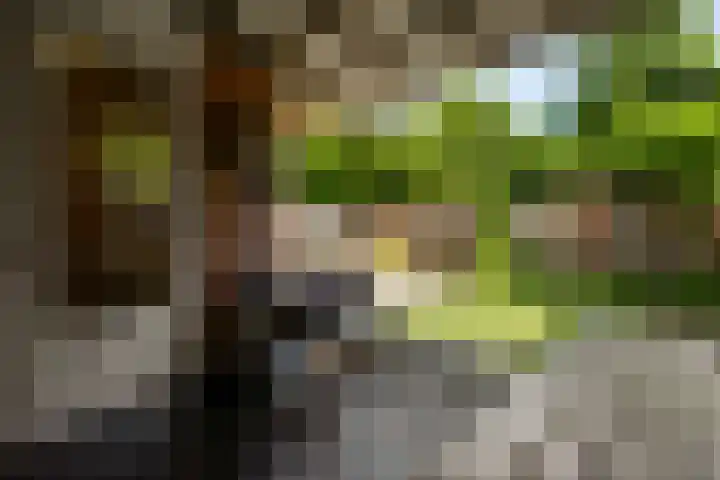 Olmenstraat 5 Hunsel thumbnail 39