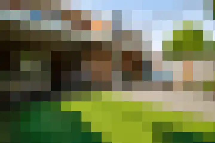 Olmenstraat 5 Hunsel thumbnail 4