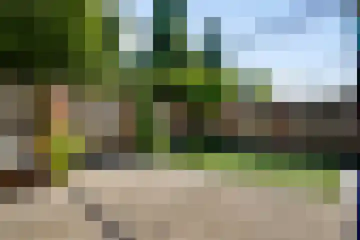Olmenstraat 5 Hunsel thumbnail 42