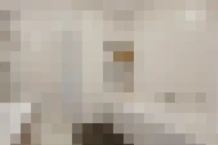 Olmenstraat 5 Hunsel thumbnail 6