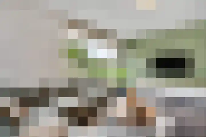 Olmenstraat 7 Hunsel thumbnail 12