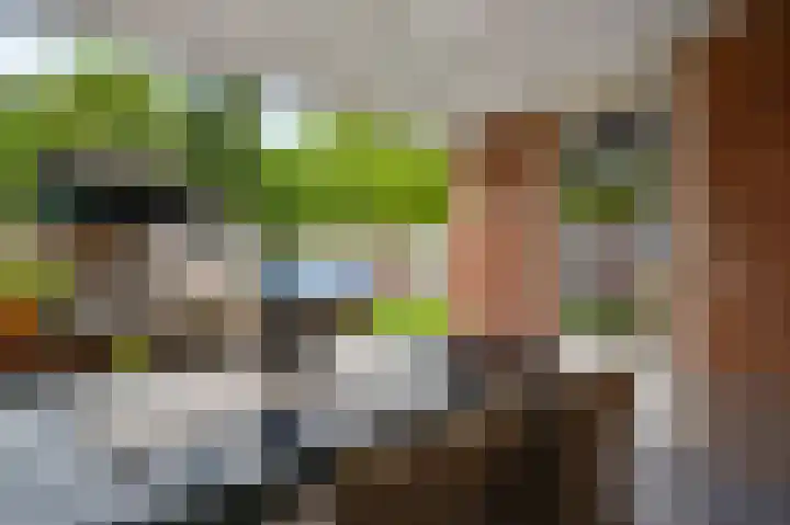 Olmenstraat 7 Hunsel thumbnail 19