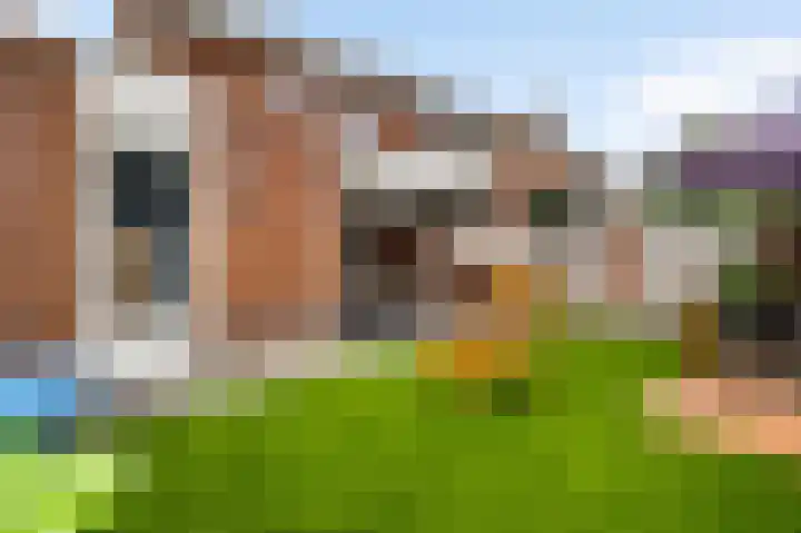 Olmenstraat 7 Hunsel thumbnail 22