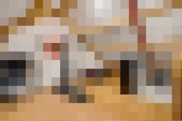 Olmenstraat 7 Hunsel thumbnail 33