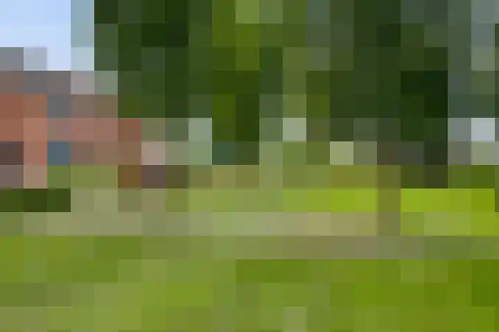 Olmenstraat 7 Hunsel thumbnail 35
