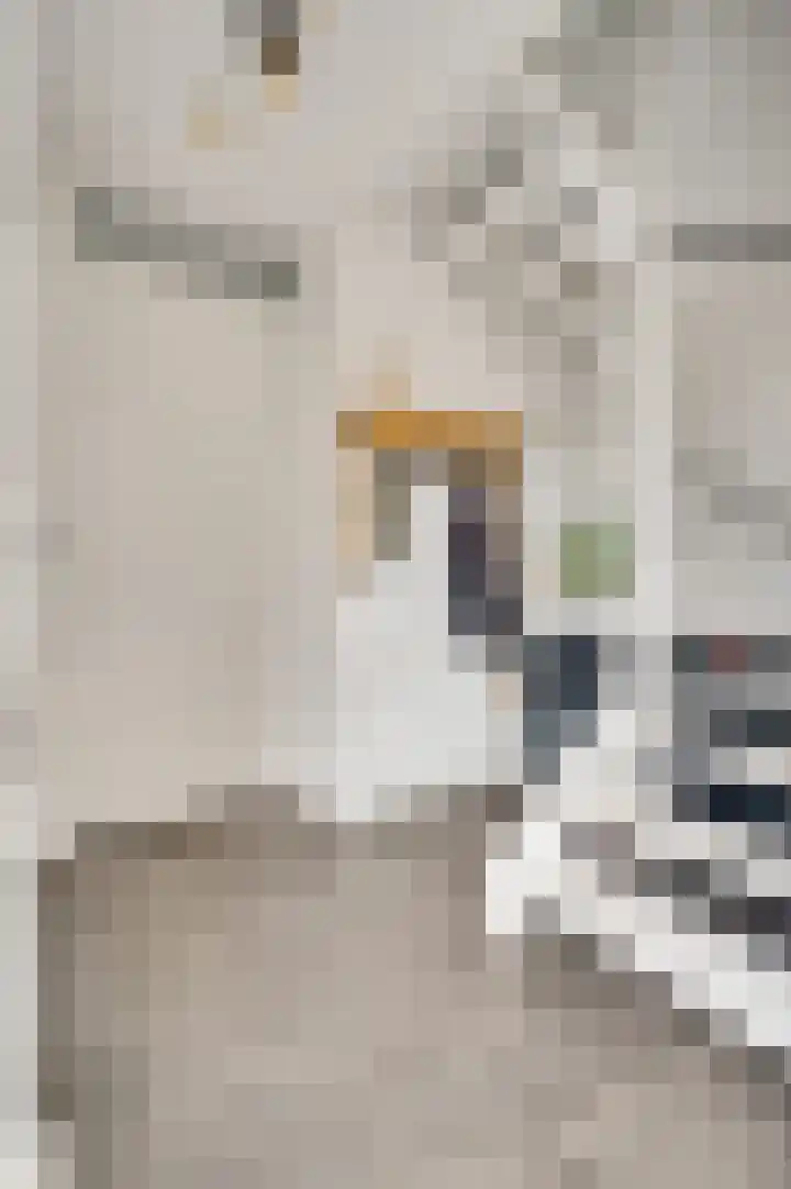 Olmenstraat 7 Hunsel thumbnail 8