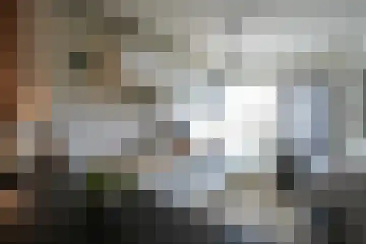 Olmenstraat 7 Landgraaf thumbnail 7