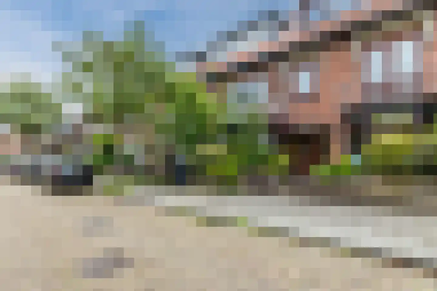 Olmenstraat 70 Haarlem thumbnail 42