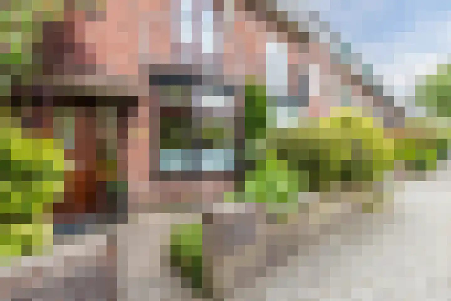 Olmenstraat 70 Haarlem thumbnail 5