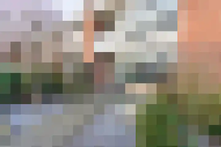 Olmenstraat 70 Winterswijk thumbnail 34
