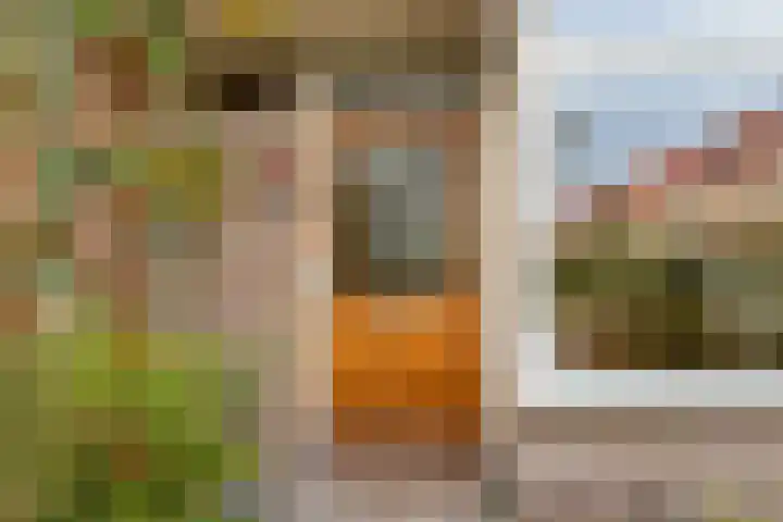 Olmenstraat 76 Winterswijk thumbnail 4