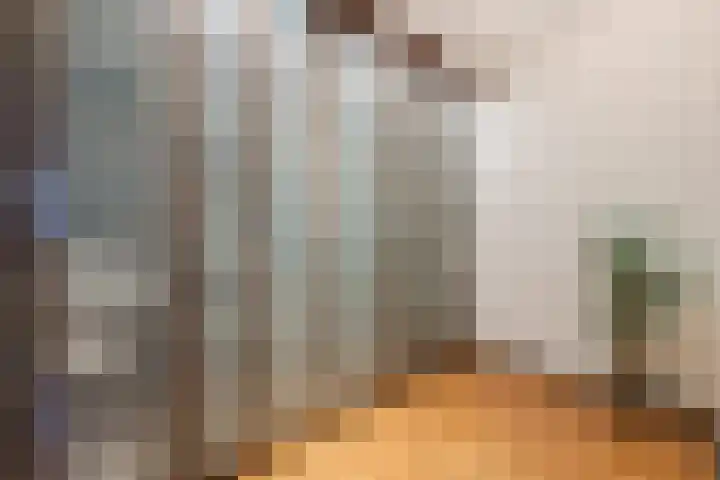 Olmenstraat 8 Halsteren thumbnail 26