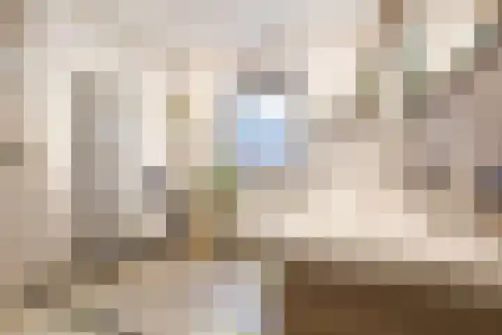 Olmenstraat 8 Halsteren thumbnail 30