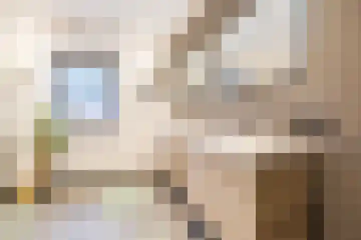Olmenstraat 8 Halsteren thumbnail 31