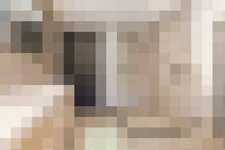 Olmenstraat 8 Halsteren thumbnail 32