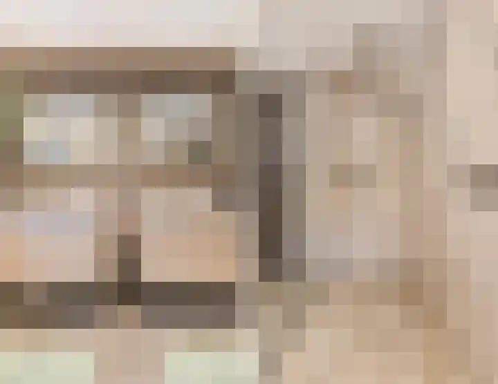 Olmenstraat 8 Halsteren thumbnail 36