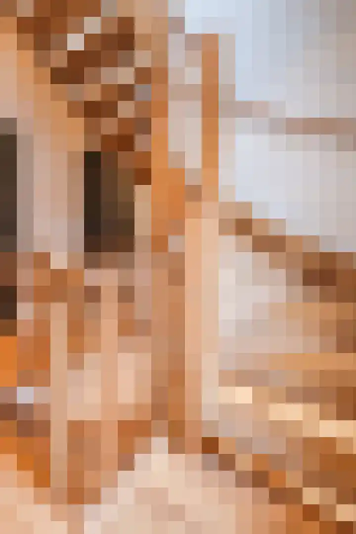 Olmenstraat 8 Halsteren thumbnail 39