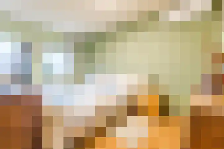 Olmenstraat 8 Halsteren thumbnail 4