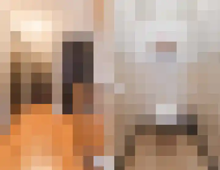 Olmenstraat 8 Halsteren thumbnail 42
