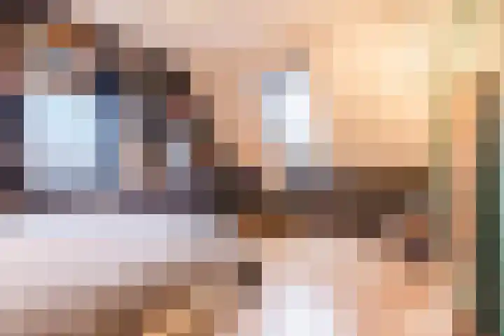 Olmenstraat 8 Halsteren thumbnail 43