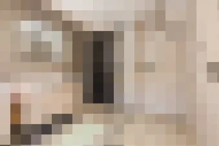 Olmenstraat 8 Halsteren thumbnail 5