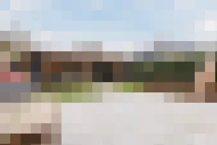 Olmenstraat 8 Halsteren thumbnail 58