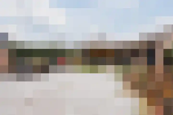 Olmenstraat 8 Halsteren thumbnail 59