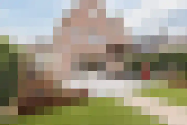 Olmenstraat 8 Halsteren thumbnail 66