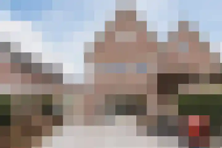 Olmenstraat 8 Halsteren thumbnail 67