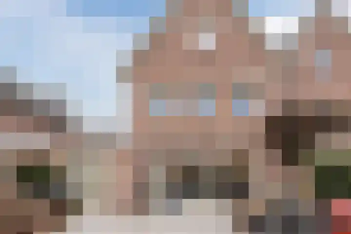 Olmenstraat 8 Halsteren thumbnail 68