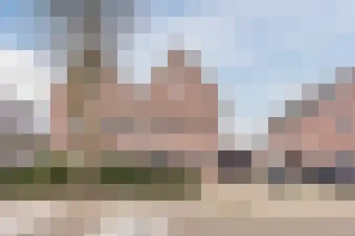 Olmenstraat 8 Halsteren thumbnail 7