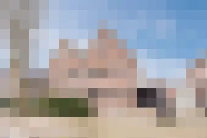 Olmenstraat 8 Halsteren thumbnail 8