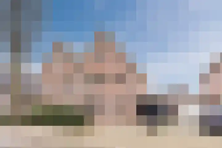 Olmenstraat 8 Halsteren thumbnail 9