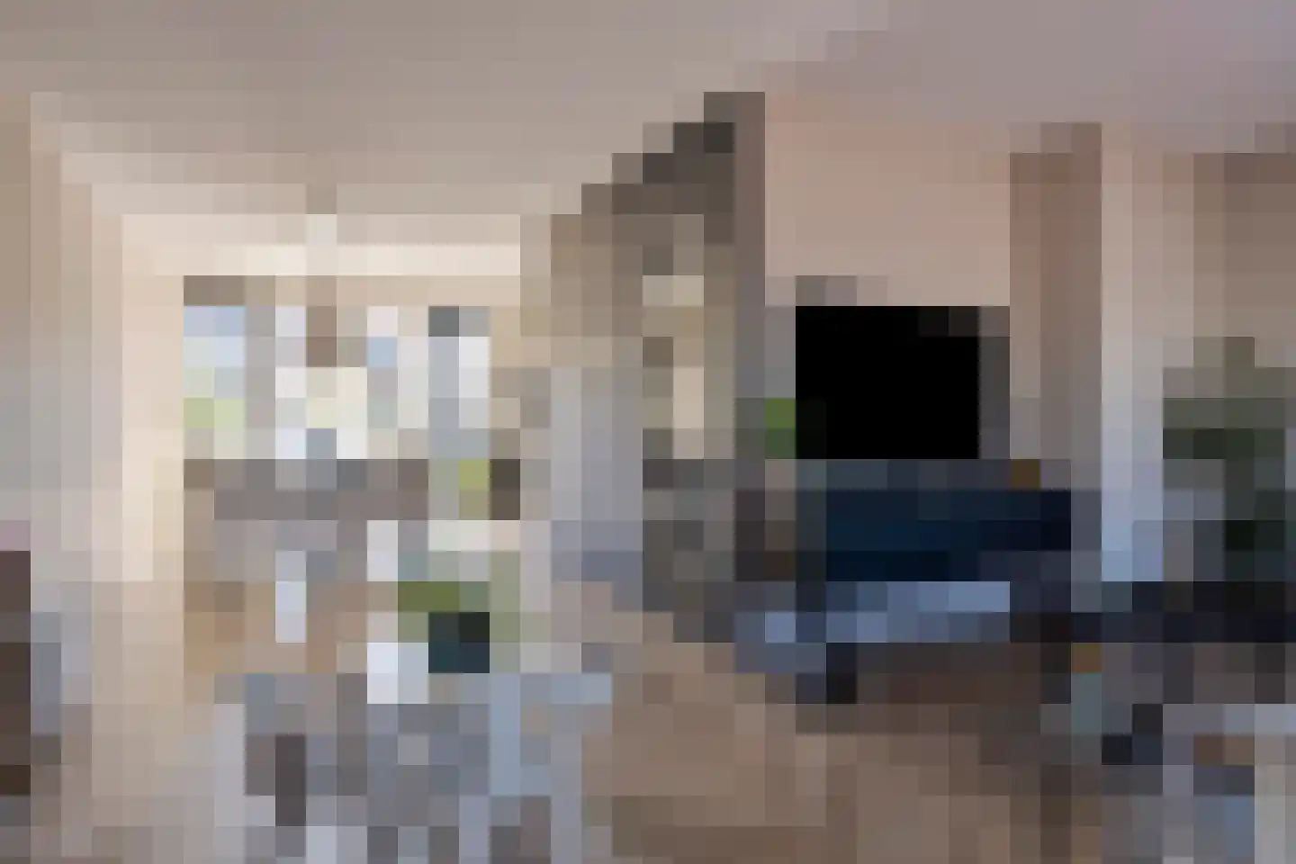 Olmentuin 38 Steenbergen thumbnail 11