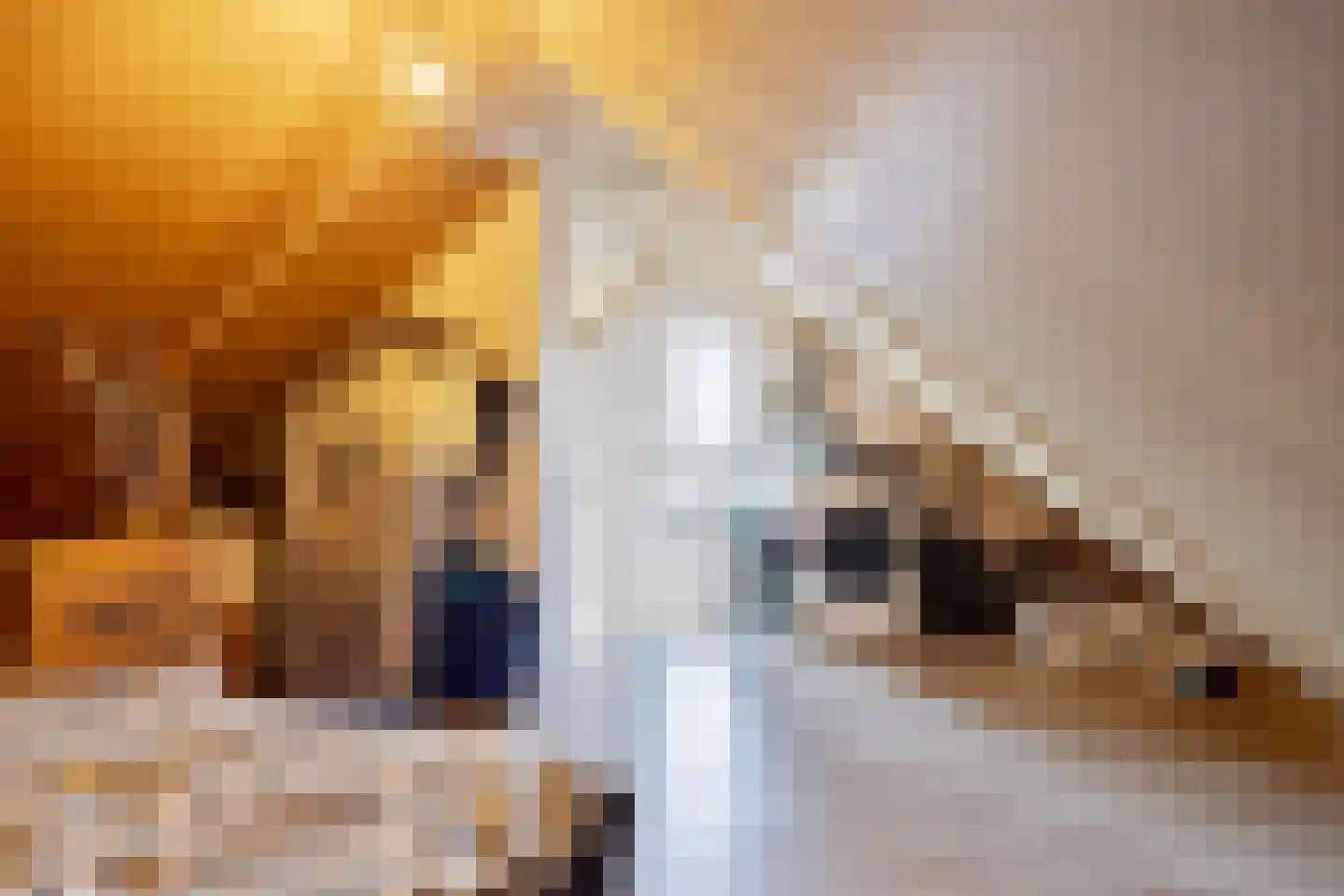 Olmentuin 38 Steenbergen thumbnail 42